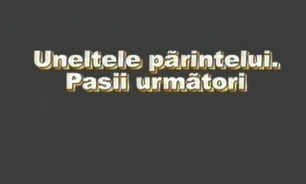 Ep. 12 – Uneltele părintelui: Pașii următori